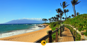 8eea9716-80fa-5a44-360b-4d4e9cd98ec9